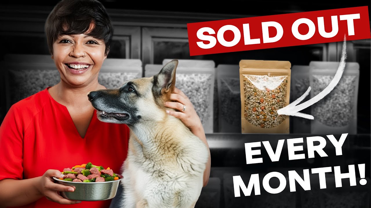 How Curing One Dog Turned Into a Multi-Crore Business | @doggiliciouus | Business Success Revealed