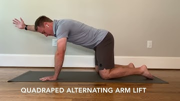 Quadruped Alternating Arm Lift