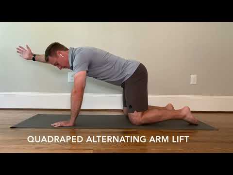 Quadruped Alternating Arm Lift