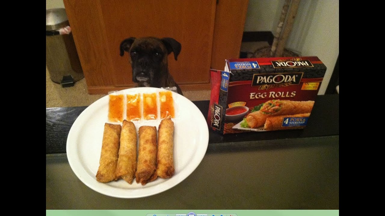 Pagoda Express Pork & Shrimp Egg Rolls Review YouTube