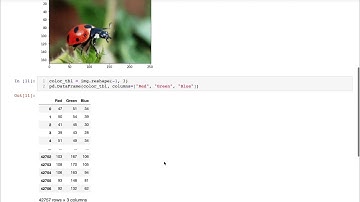 CS 320 May 1 (Part 1) - K-Means for Color Segmentation