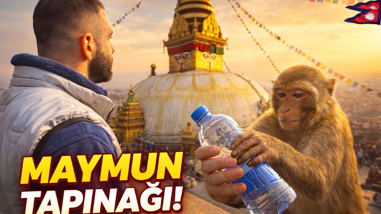 MAYMUN TAPINAĞINDA BAŞIMIZA GELENLER! (Nepal'de 1 Gün 🇳🇵)