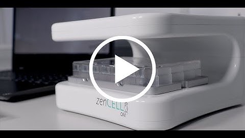 zenCELL Owl live cell imager - Feature Video