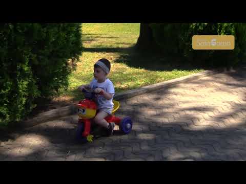 სალომე გარდავა - ილიას დედა