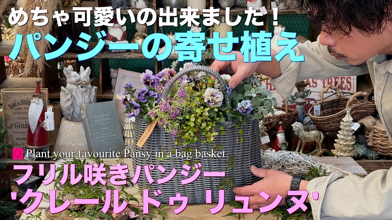 【今年最後！】めちゃ可愛いの出来ました！フリル咲きパンジー 'クレール ドゥ リュンヌ'の寄せ植え【冬のガーデニング】-フローラ黒田園芸- /ガーデニング　園芸　寄せ植え #ガーデニング #園芸