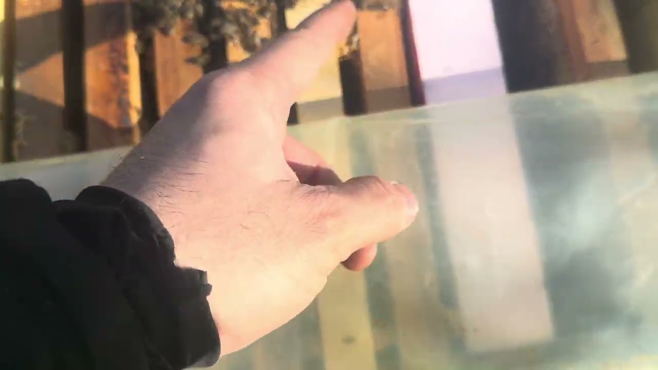 Turta proteica la inceput de martie 2026