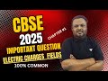 CBSE 2025 CLASS12 PHYSICS | IMPORTANT QUESTION CHAPTER 1|  ELECTRIC CHARGES &amp; FIELDS | SUGGESTION