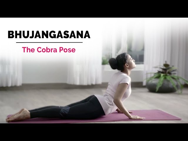 Bhujangasana Yoga: Cobra Pose | Yoga Pose | Gaia