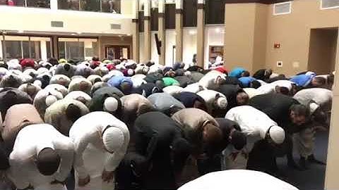 مقام حجاز كار تلاوة خاشعة للشيخ جمال شاكر من سورة الشورى