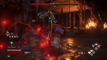 Invading Executioner Level 1 Fight (Code Vein)