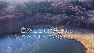 ダイジェスト版予告『森からすべてが始まる』