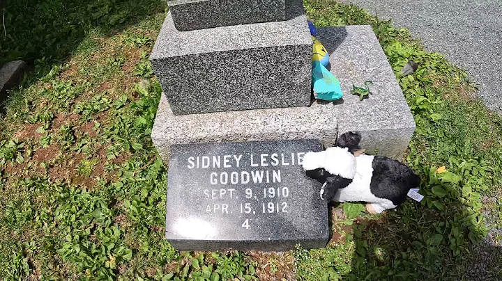 The Unknown Child Of Titanic