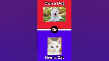 What Would You Rather | EP 40 #trivia #whatwouldyoudo #wouldyourather #wouldyourathergame