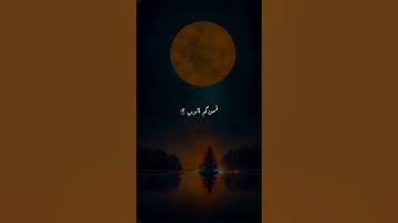 واشباباه..|القارئ راشد الحليبة