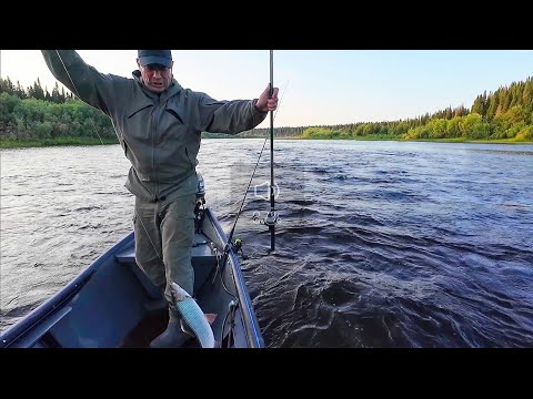 GRAYLING IN A STRONG CURRENT. THE ANCHOR WON'T HOLD. FISHING FROM A BOAT AT SUNSET.