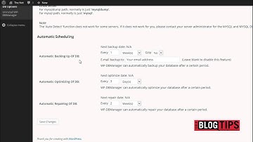 Website Backups in the Cpanel and with WP-DB Manager