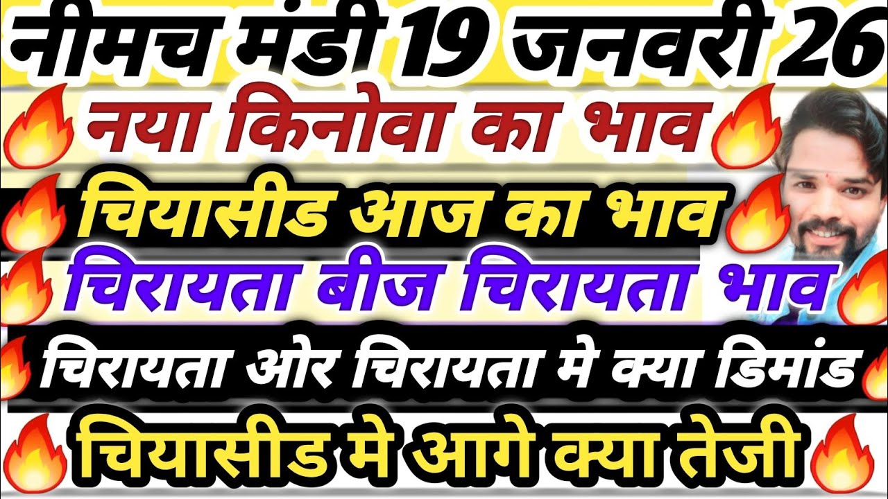 नीमच मंडी भाव। चिया भाव। नया किनोवा का भाव। चिरायता का भाव। Neemuch Mandi bhav today chirayata