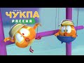 Где Чукпа? #32 - мультфильм для детей - мультики для малышей