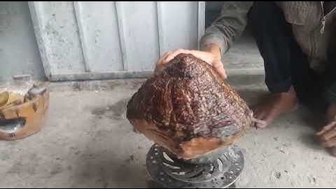 M748 gl nhánh Cốc chua 300k LH 0707713796 Khương bonsai 