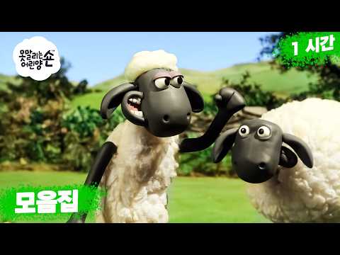 숀이 장난치다가 호루라기를 삼켰어요! 🐑📣😱😂 | 새학기 🚌🔔