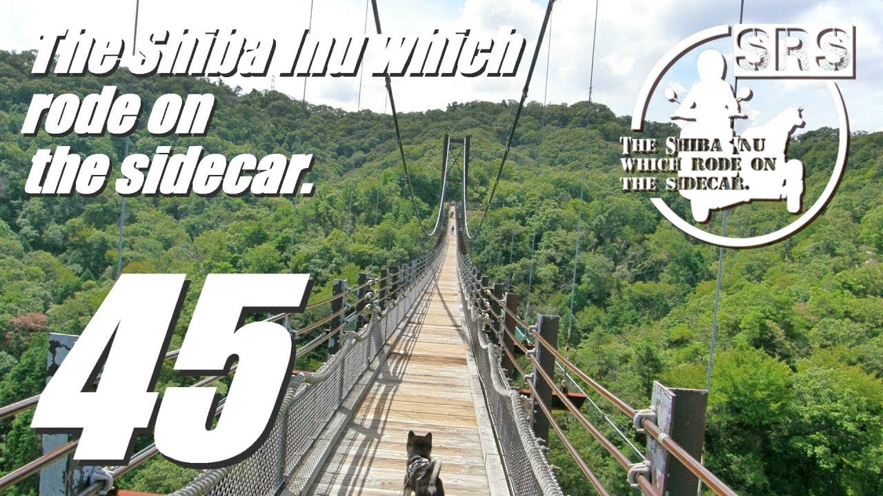 サイドカーに柴犬４５ [ 星のブランコ、イコマ製菓本舗 レインボーラムネ ] The Shiba Inu which rode on the sidecar 45.