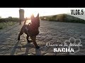 VLOG 5 - Ampliamos familia.... bienvenida SACHA! Pastor Belga Malinois