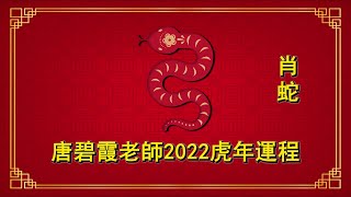 蛇 - 虎年2022十二生肖運程 - 碧霞老師