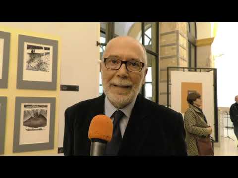 Video: Museo Nazionale d'Arte (Bielorussia): storia, esposizione, indirizzo