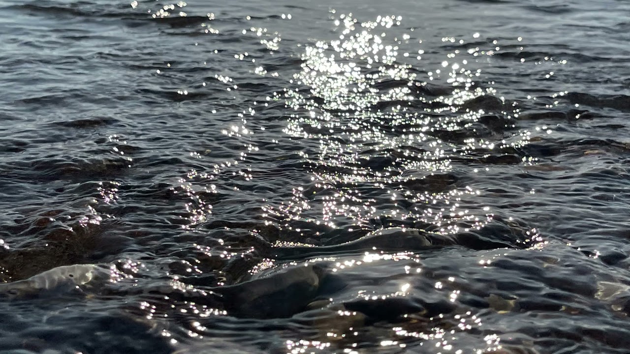 Ringstead Bay - Dorset Coast