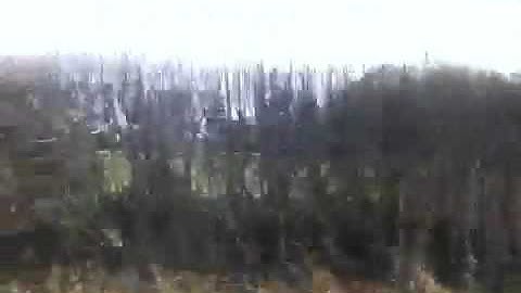 R631 VEG Nu-venture Marshall dart