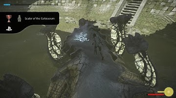 SHADOW OF THE COLOSSUS_20231011072819