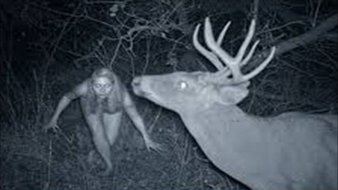 Top 10 WEIRD Trail Cam Photos That Will Haunt You