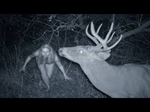 Top 10 WEIRD Trail Cam Photos That Will Haunt You