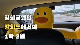 여행 | 아기랑 강아지랑 강화도 1박 2일 애견동반 풀빌라 펜션 나폴리