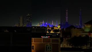 Shaikh zayed masjid ❤️ #zeemirza96 #abudhabi #shaikhzayedmosque #dubainight #shortvideos