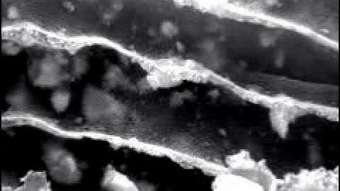 Removing Arsenic from Drinking Water