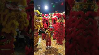Múa lân ông địa cute 2026 #liondance2026 #ongdiavuive #cny2026 #cute #babycute #bibitv #mualanongdia