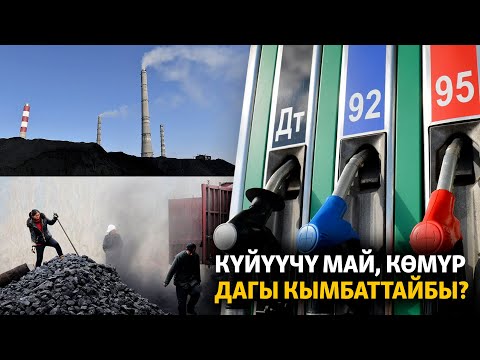 Video: Коргошунсуз күйүүчү май өчөбү?