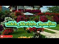      پشتونیونظم آواز اسامہ شیرزاد باران گلٸ دا روضة القرآن میڈیا