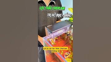 Tìm hiểu chi tiết về lọc treo bể cá Cherlam - Nuôi cá dưỡng tâm