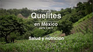 Quelites en Mexico Capitulo 2