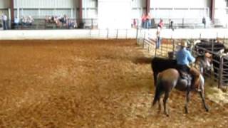 MVI_0557.AVI