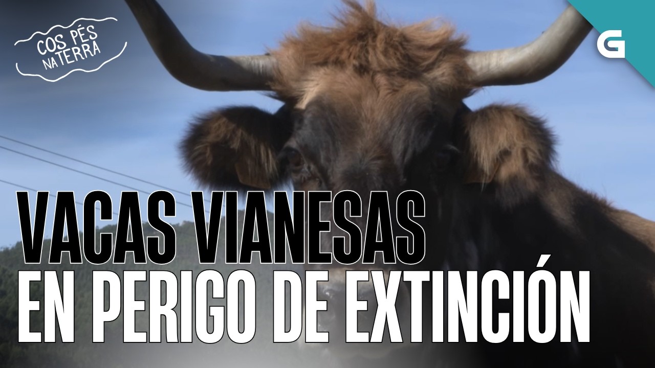 ANTONIO GANDEIRO de FOZ| COS PÉS NA TERRA