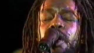 Peter Tosh - Bush doctor