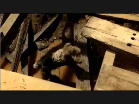 საუკეთესო რეკლამა | The Best AD Ever