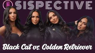 BLACK CAT VS GOLDEN RETRIEVER: From Pick-Me Energy to Knowing We’re the Prize