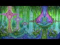  psychedelic forest  twilight dj set 2020   hq audio