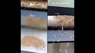 Automatic Mealworm Seperating Machine/Mealworms Sorting Machine /Tenebrio Molitor Separator Machine