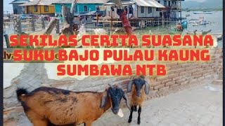 sekilas cerita suasana suku bajo pulau kaung Sumbawa NTB