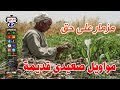 مواويل صعيدى قديمة 